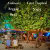 Ambient Reggae Band - First Tropical Night